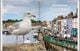 Thumbnail-9
