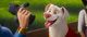 Thumbnail-9