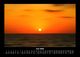 Thumbnail-10