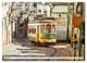 Thumbnail-13
