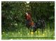 Thumbnail-14