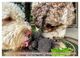 Thumbnail-12