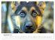 Thumbnail-14