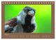 Thumbnail-10