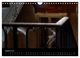 Thumbnail-13