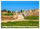 Thumbnail-8