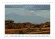 Thumbnail-11