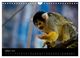 Thumbnail-12