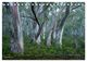Thumbnail-8