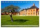 Thumbnail-11