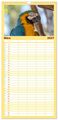 Thumbnail-8
