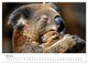 Thumbnail-11