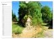 Thumbnail-9