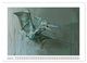 Thumbnail-10