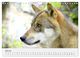 Thumbnail-12