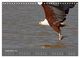 Thumbnail-11