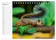Thumbnail-7