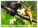 Thumbnail-10