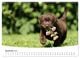 Thumbnail-12