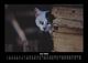 Thumbnail-10