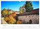 Thumbnail-14