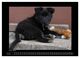 Thumbnail-9