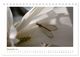 Thumbnail-14