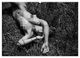 Thumbnail-13