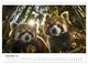 Thumbnail-14