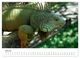 Thumbnail-9