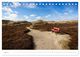 Thumbnail-10