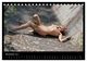 Thumbnail-12