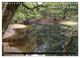 Thumbnail-11