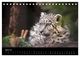 Thumbnail-9