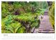Thumbnail-9