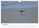 Thumbnail-14