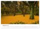Thumbnail-14