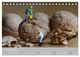 Thumbnail-13