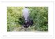 Thumbnail-13
