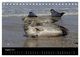 Thumbnail-10