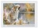 Thumbnail-8