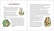 Thumbnail-10