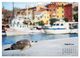 Thumbnail-13