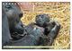 Thumbnail-10
