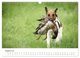 Thumbnail-13
