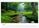 Thumbnail-9