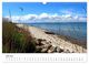 Thumbnail-8