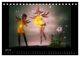 Thumbnail-12