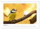 Thumbnail-2