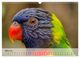 Thumbnail-8